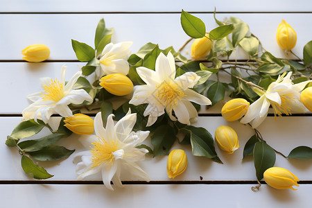 白色木板上美丽的黄花图片