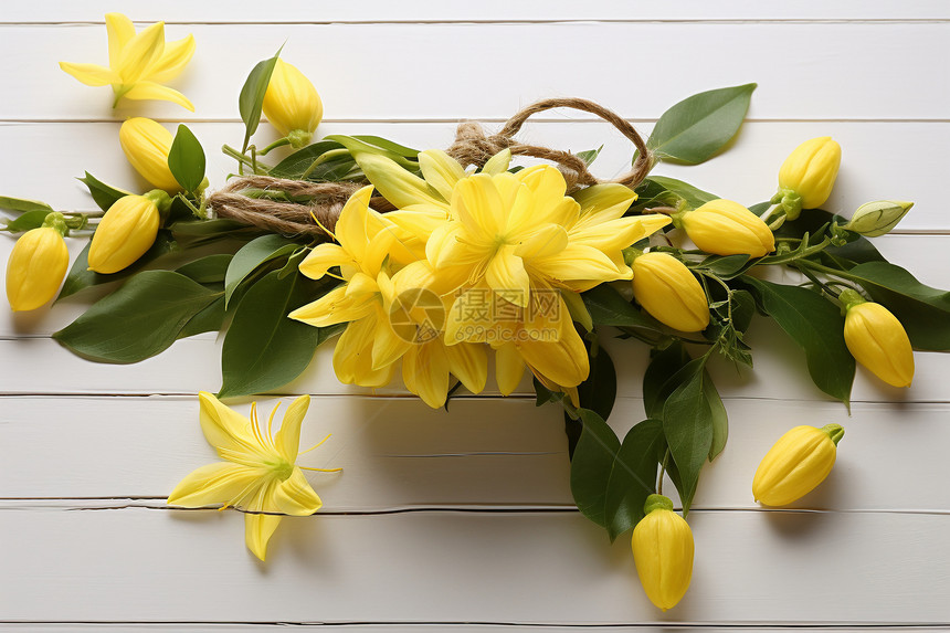白色木板上的黄色花朵图片