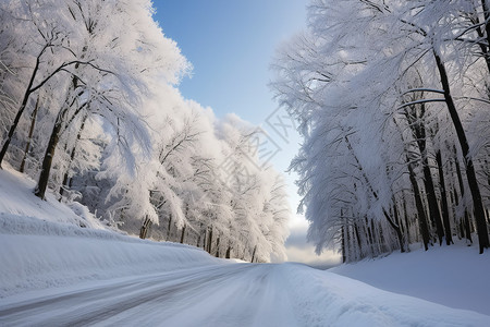 冬日公园初雪图片