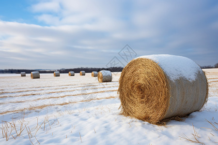 冬季大雪覆盖的稻草包背景