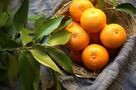 甘甜清香的柑橘水果图片