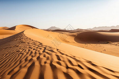 黄沙背景下的沙丘图片
