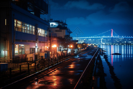 夜幕下的东京湾图片