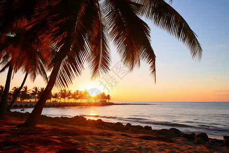 夏日夕阳下的海滩图片
