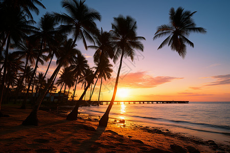 日落下的沙滩背景图片