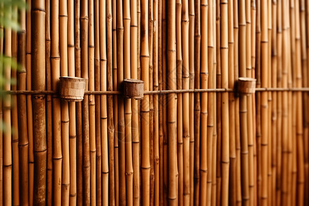 用竹子编的墙图片