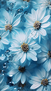滴着水滴的花朵背景图片