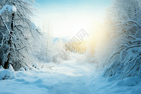 清晨的雪原背景图片