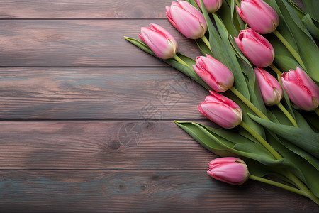 粉色郁金香花束的美丽自然艺术背景图片