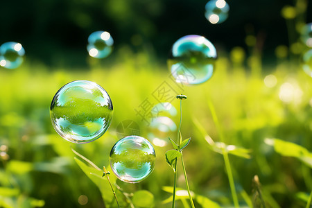 泡泡浮在青翠的草地上背景图片