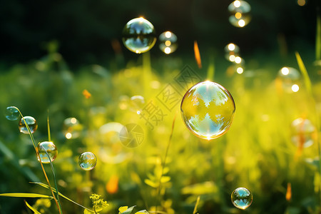 绚丽气泡气氛绿地中的绚丽泡泡背景
