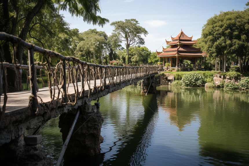 郁郁葱葱的植物园景观图片