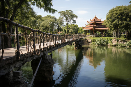 郁郁葱葱的植物园景观图片