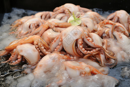 美味的章鱼料理背景图片
