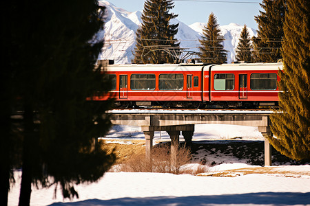 小火车穿过白雪覆盖的森林图片