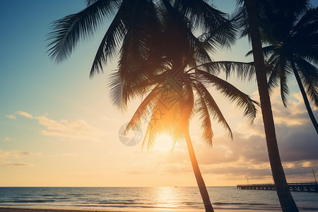 阳光下的棕榈树海滩图片