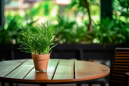 木桌上的绿植盆景装饰图片