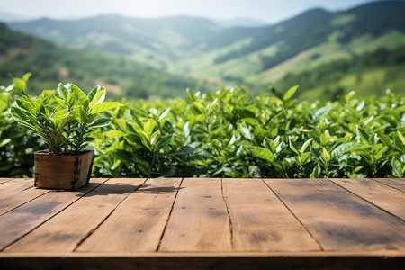 山清水秀背景的木桌背景图片