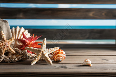 度假海滩上的海洋生物背景图片