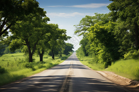 夏季茂盛的乡村公路背景图片