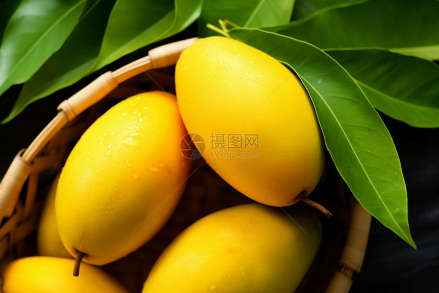 健康生态的热带芒果图片
