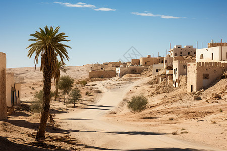 沙漠中的村庄与棕榈树中的小道背景图片