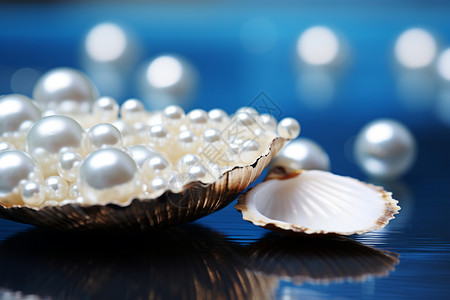 一颗珍珠在贝壳上的微距照片高清图片