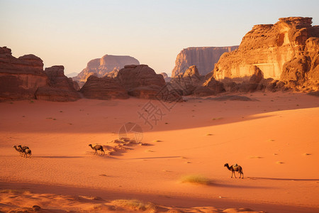 夕阳下荒无的沙漠景观背景图片