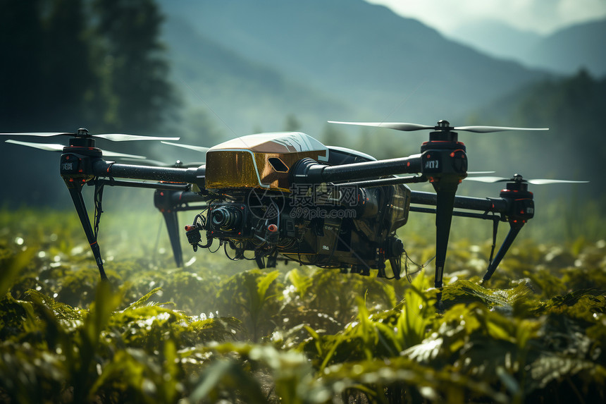 无人机在绿色农田图片