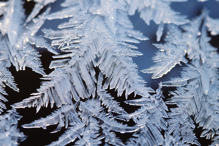 雪结晶冰冻水晶的雪花背景