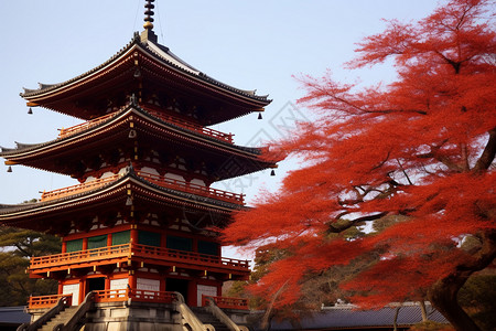 日式宗教的古代建筑景观背景图片