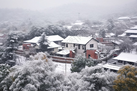 白雪覆盖的村庄景观图片