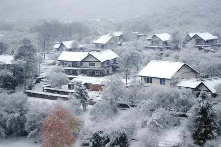 白雪皑皑的村庄景观图片