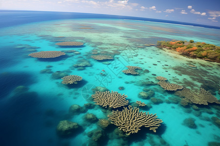 海洋里的珊瑚礁石高清图片