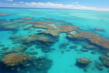清澈海水里的礁石图片