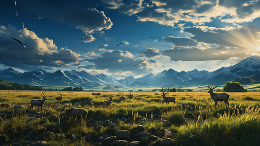 草原上藏羚羊悠闲吃草的羚羊插画