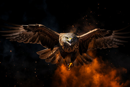 翅膀火焰素材翱翔天空的老鹰背景