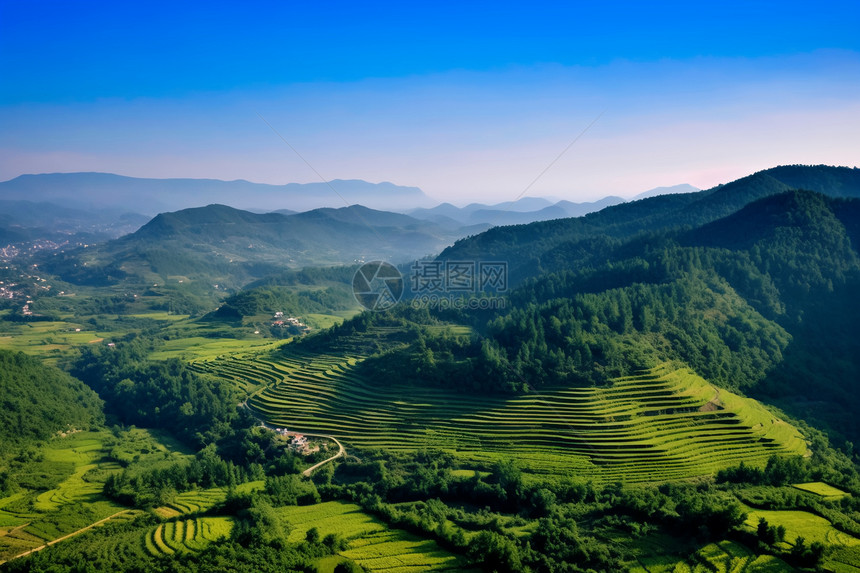 农业种植的梯田景观图片