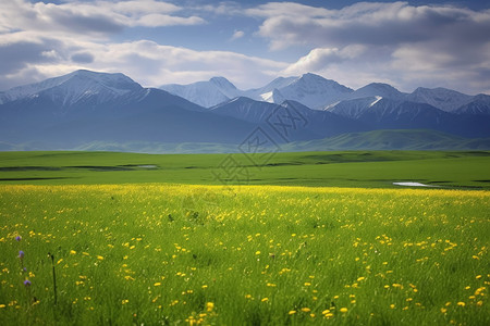 夏季旅游的喀拉峻大草原景观高清图片