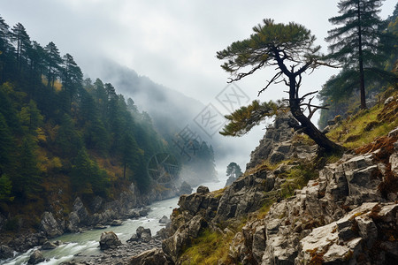 雾气蒙蒙的山间景色图片