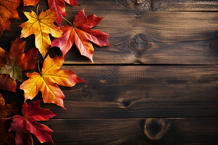 秋天的落叶散落在木头上高清图片