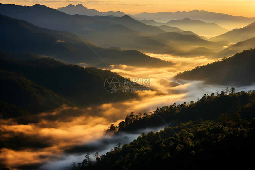 迷雾中的山谷图片