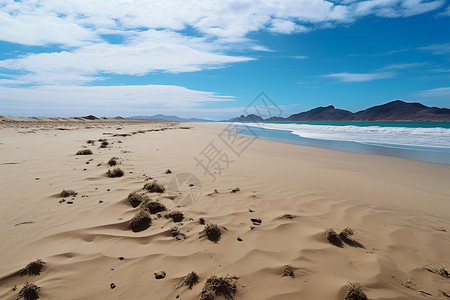 砂滩上的沙子图片