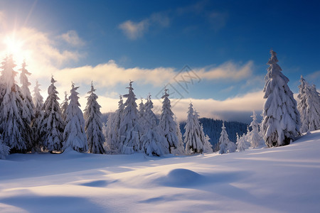 冬日山林背景图片