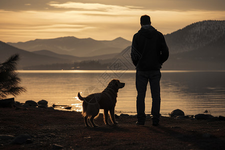 散步的男人与犬图片