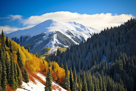 雪山之美冬日山林之美背景