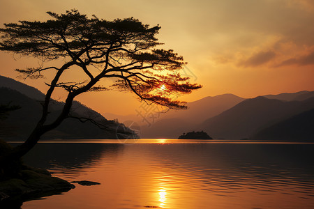 日出时分的湖面图片