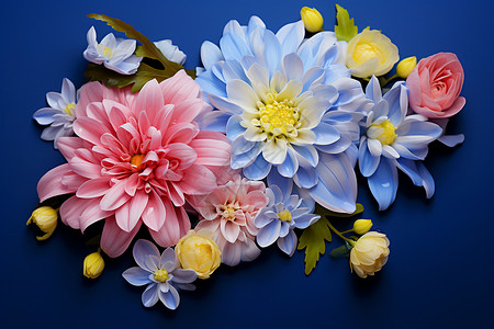 新鲜花束绽放的自然花朵设计图片
