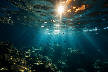 透过水面的阳光照耀高清图片