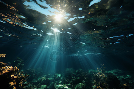 海底的奇妙光线效果图片
